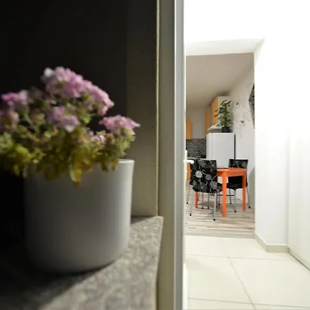 Pop&rock House